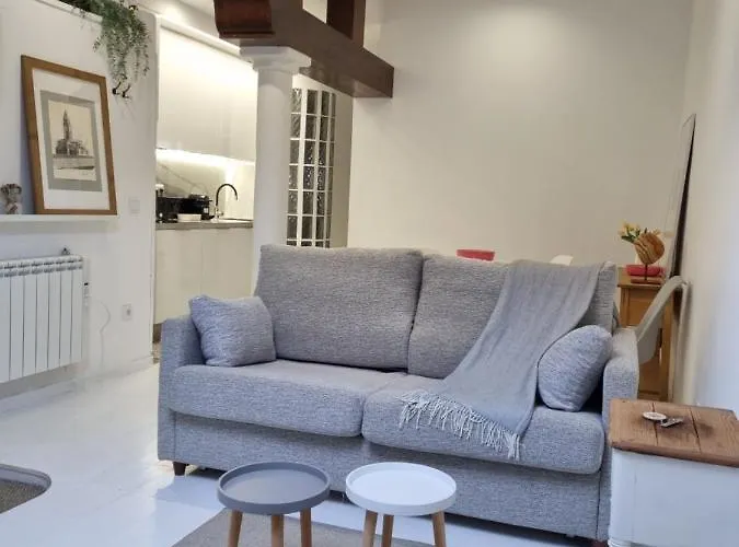 Apartment Begona De Mis Amores 119d1 By R2r Consulting